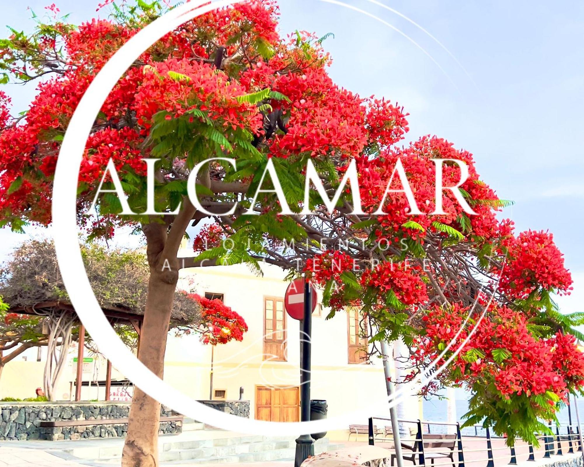 Alcamar Habitacion Privada Con Las Areas De Sala, Cocina Y Bano Que Se Comparten Cerca Al Mar! * Alcalá la Real